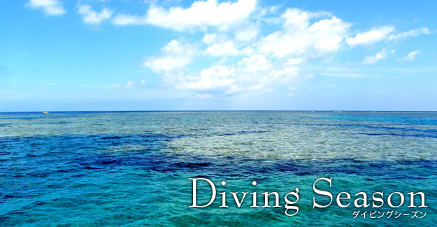 Diving season_CrOV[Y